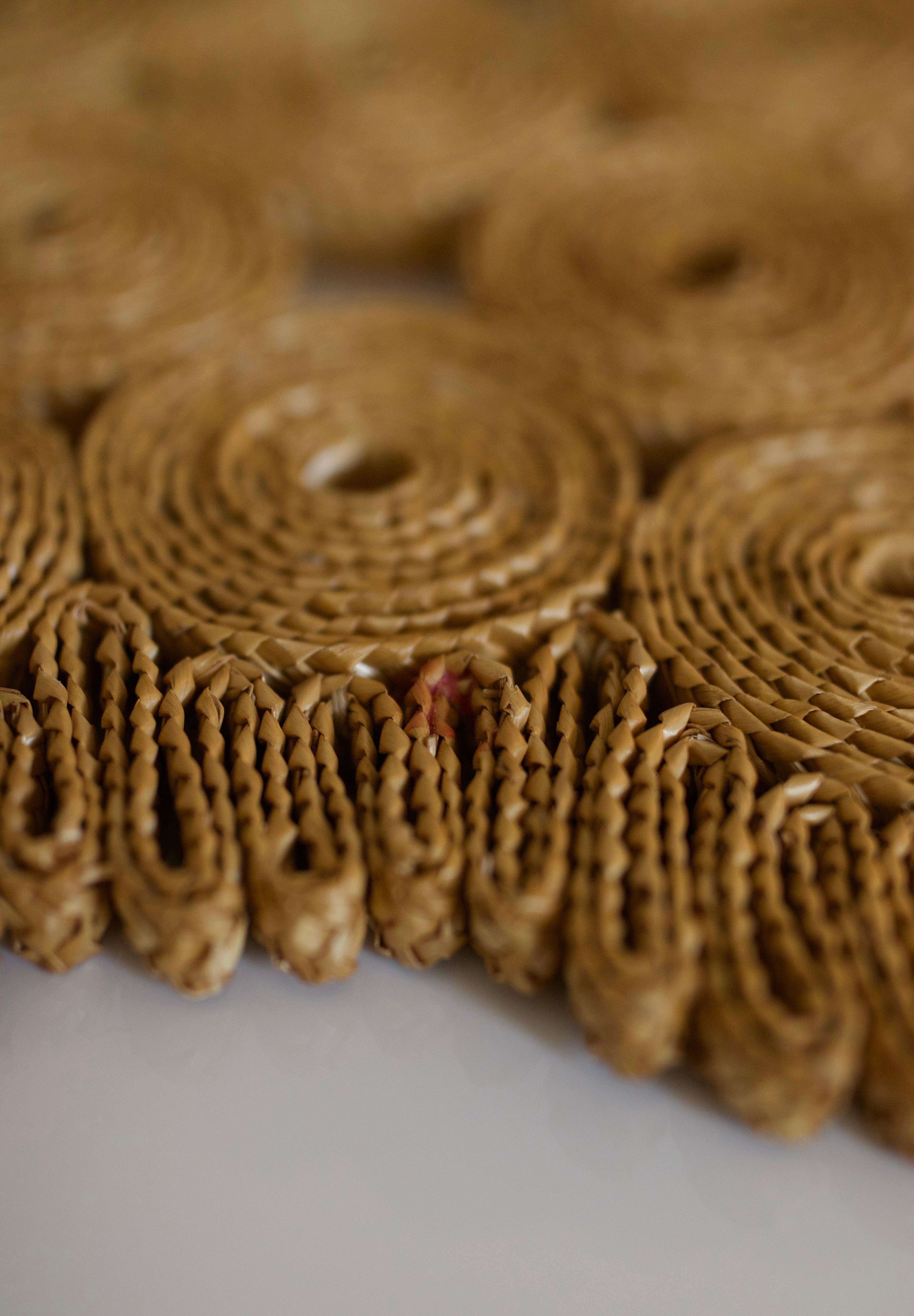 Woven Natural Fiber Table Mat (Set of 2)