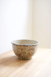 Vintage Red Wing Pottery Spongeware Bowl
