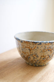 Vintage Red Wing Pottery Spongeware Bowl