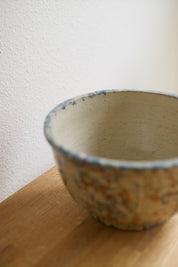 Vintage Red Wing Pottery Spongeware Bowl